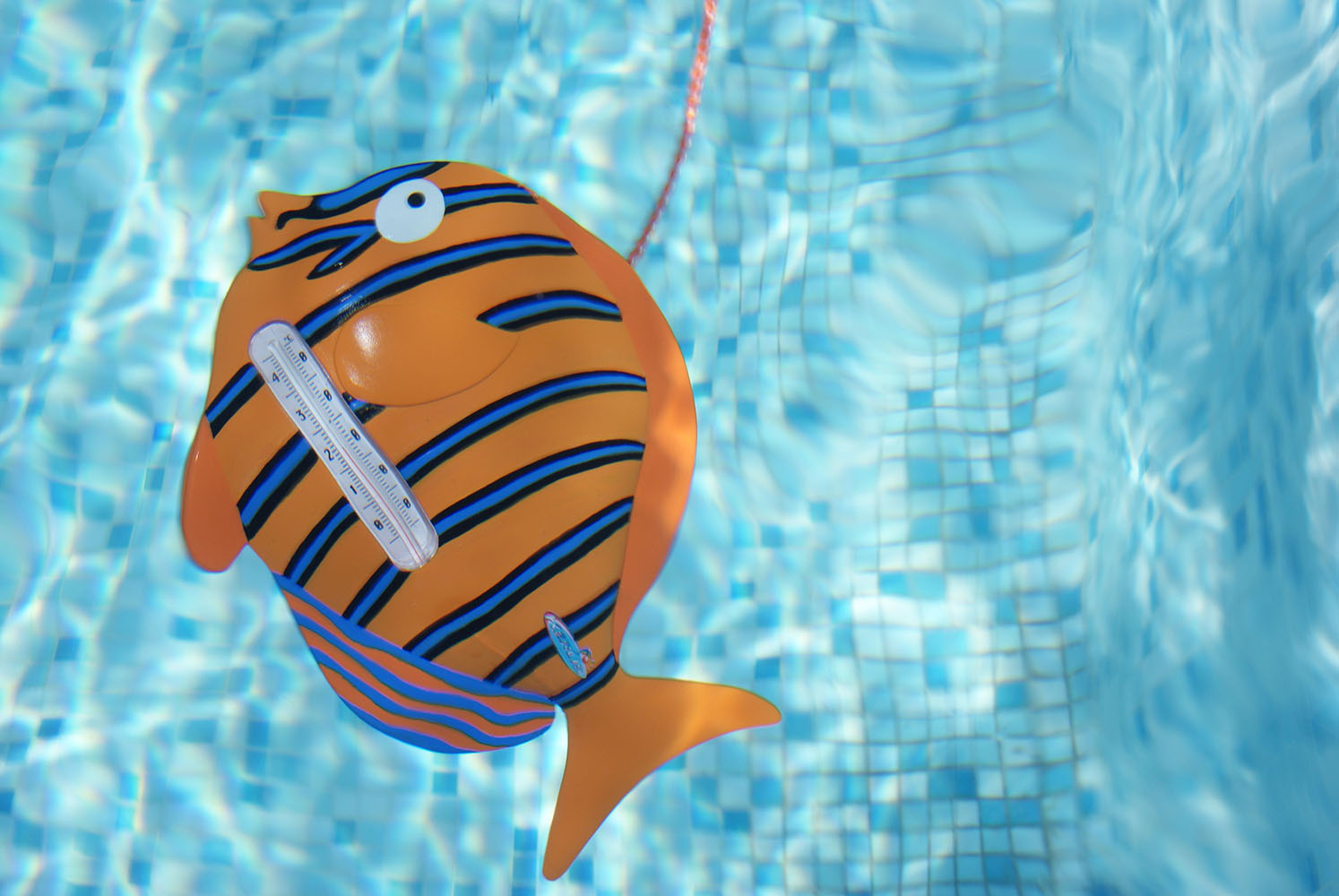 Fischthermometer Tropic